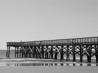 IMG_2596.jpg