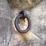 Ring.jpg
