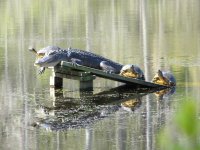 IMG_3469.jpg