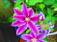 IMG_0843.jpg