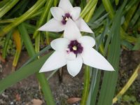 DSC02152.JPG