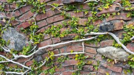20160408_112410.jpg