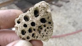 rock.jpg
