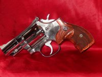 Guns new Grips 006.jpg