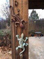 Lizards.jpg