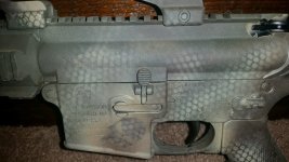 s&w15_2.jpg