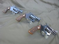 CIMG1309.jpg