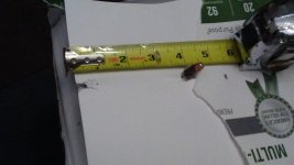 20170217_204319.jpg