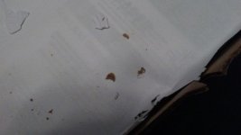 20170217_210757.jpg