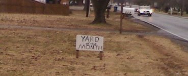 Random 8.jpg
