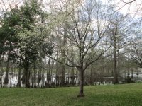 IMG_1193.JPG