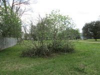 IMG_1199.JPG