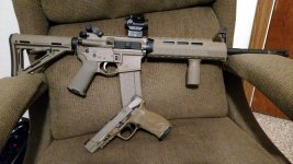 Copy of FDE 2.0 with FDE rifle.jpg