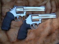 Picture 012S&W.jpg
