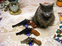 4-5-6 plus cat.jpg