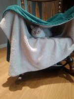 IMG_20170313_105440.jpg
