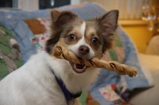 IMG_2048.jpg