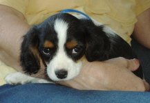 first pictures10a.jpg