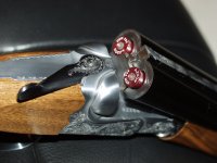 Rizzini444-1.jpg