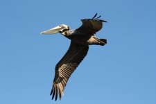 IMG_3219.JPG