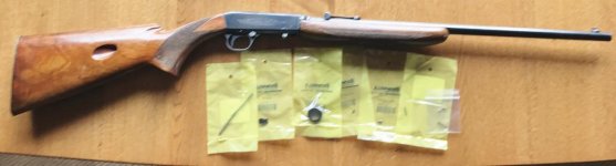 Browning 22 semi auto.jpg