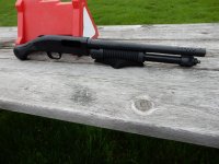 Shockwave with Magnaport 001.jpg