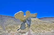 IMG_0357.JPG