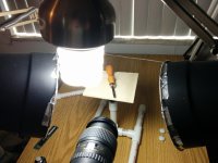 IMG_20170511_124432.jpg