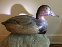 Duck 1.jpg