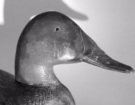 Duck Head B&W.jpg