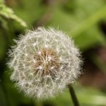 IMG_9417.jpg