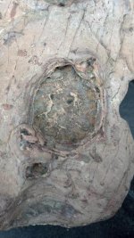hole2.jpg