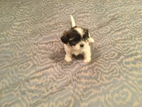 IMG_2776.jpg