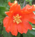 IMG_1867.jpg