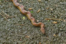 DSC05028.jpg
