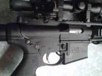 red dot.jpg