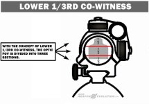 LOWER%20COWITNESS%201.jpg