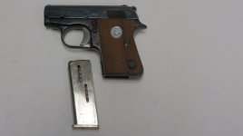 Colt 25 left + mag.jpg