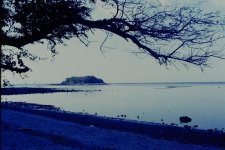 PICT0103.jpg
