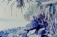 PICT0099.jpg