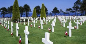 we will never forget your sacrifice.jpg