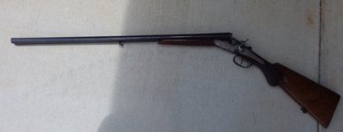 Shotgun 4.JPG