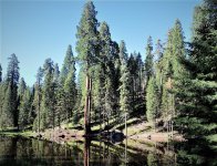 IMG_0460.jpg
