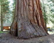 IMG_0466.jpg