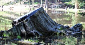IMG_0488.jpg