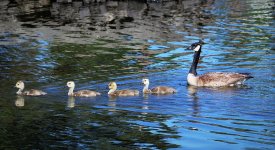 IMG_0519.jpg