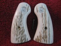 Colt NS full bark 5-18 011.JPG