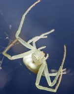 IMG_0764.jpg