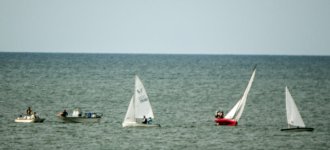 IMG_0774.jpg