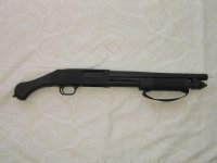 IMG_9794.jpg